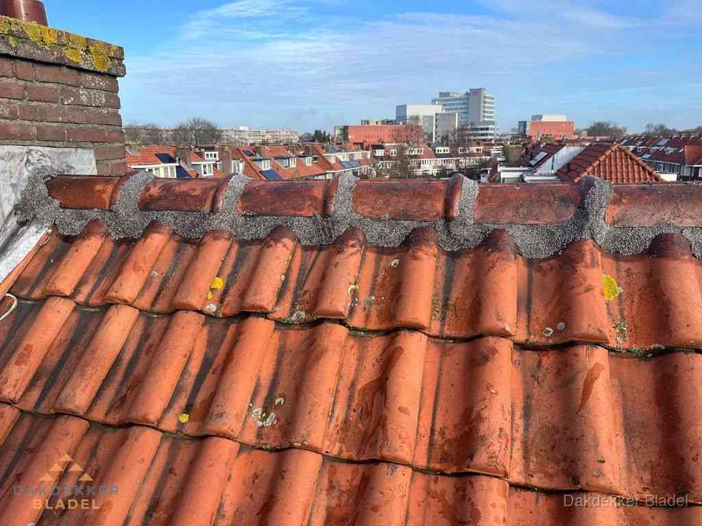 Nieuw bitumen plat dak met uitzicht over woonwijk in Bladel