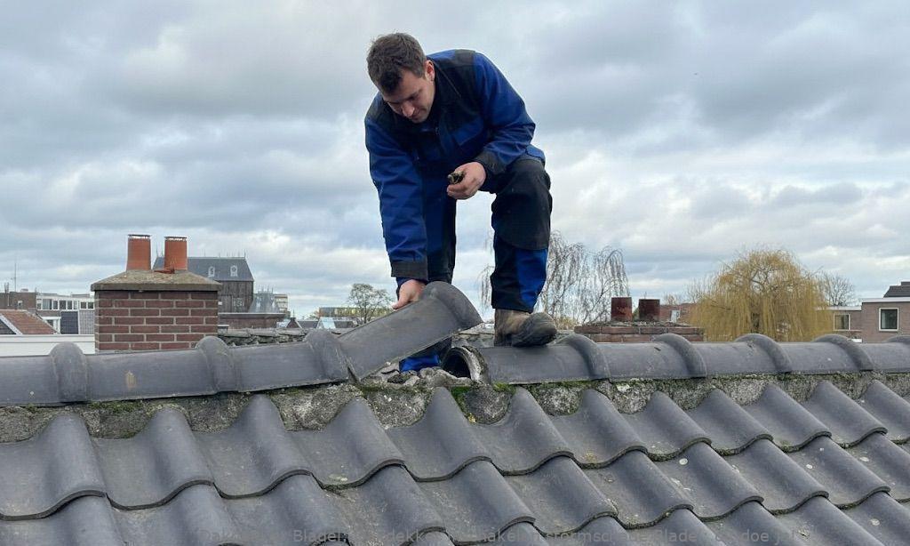 Dakdekker Inschakelen Stormschade Bladel