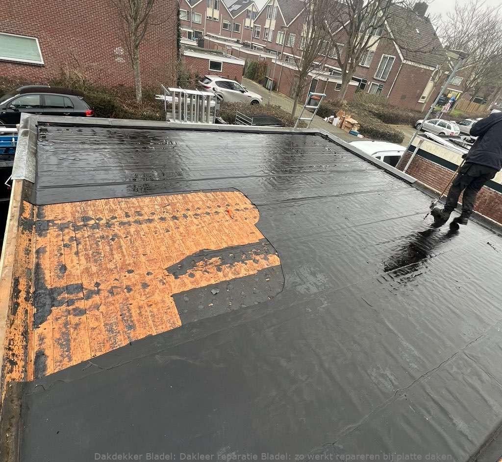 Dakleer Reparatie Bladel