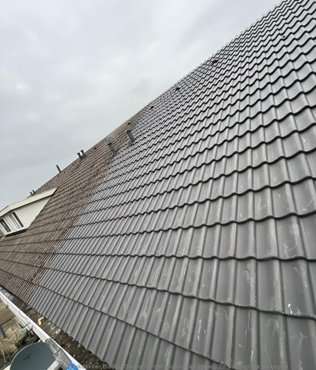Dakpannen Schoonmaken Bladel