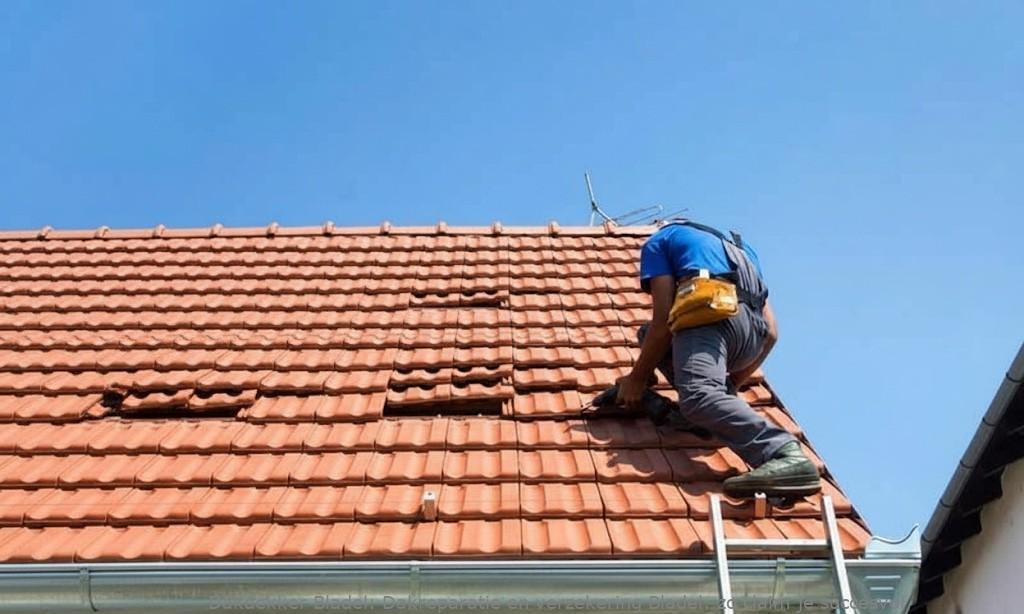 Dakreparatie En Verzekering Bladel