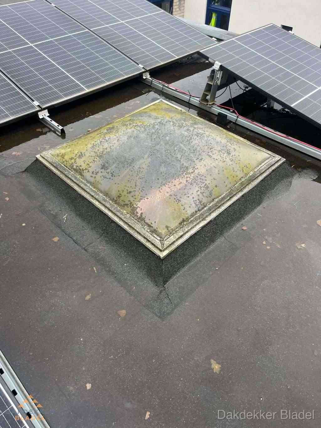 Opsporen Daklekkage Bladel