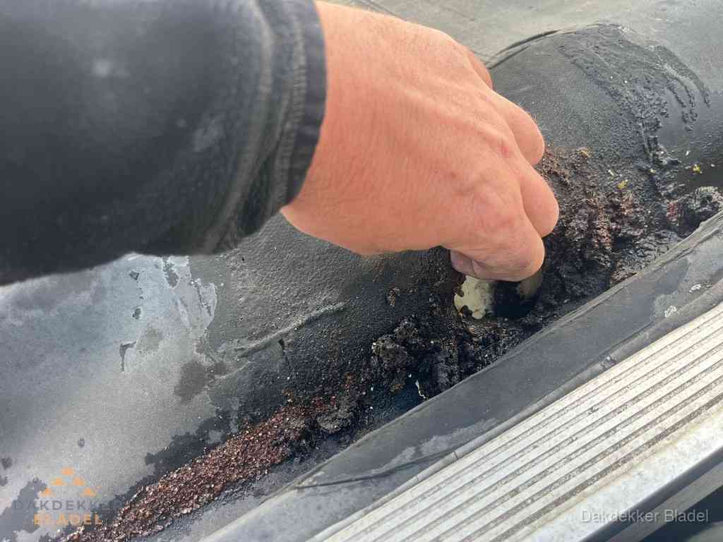 Plat Dak Reparatie Bladel