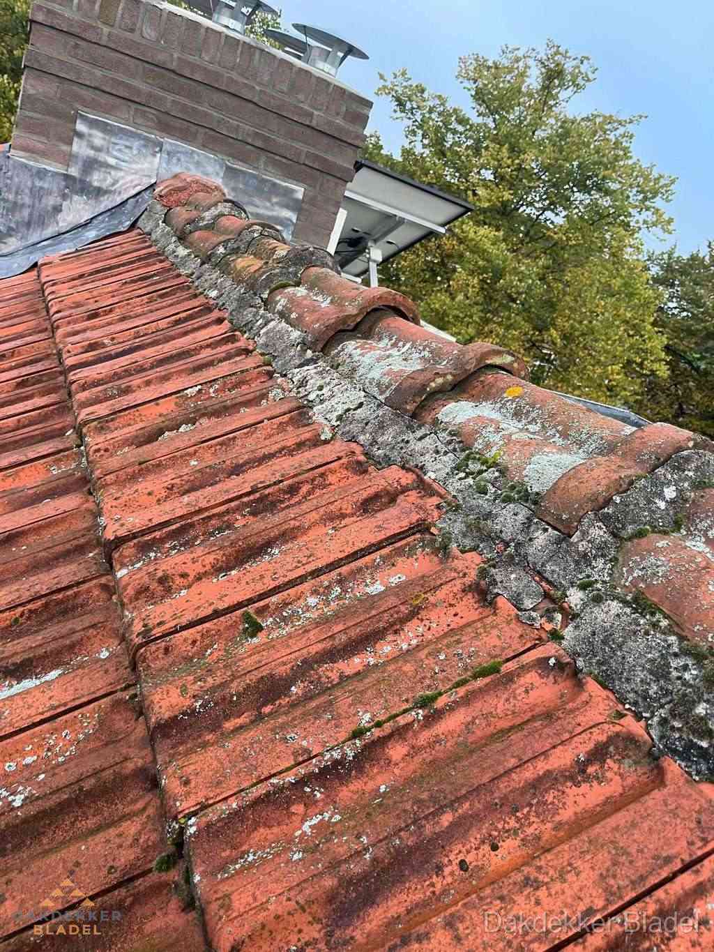 Renovatie Hellend Dak Bladel