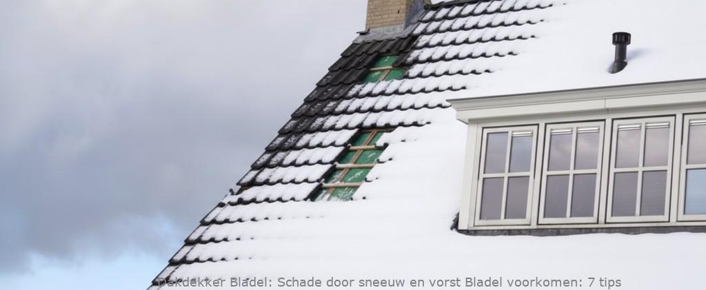 Schade Door Sneeuw En Vorst Bladel