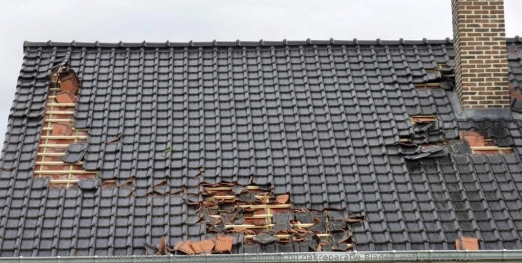 Veelgemaakte Fouten Bij Dakreparatie Bladel
