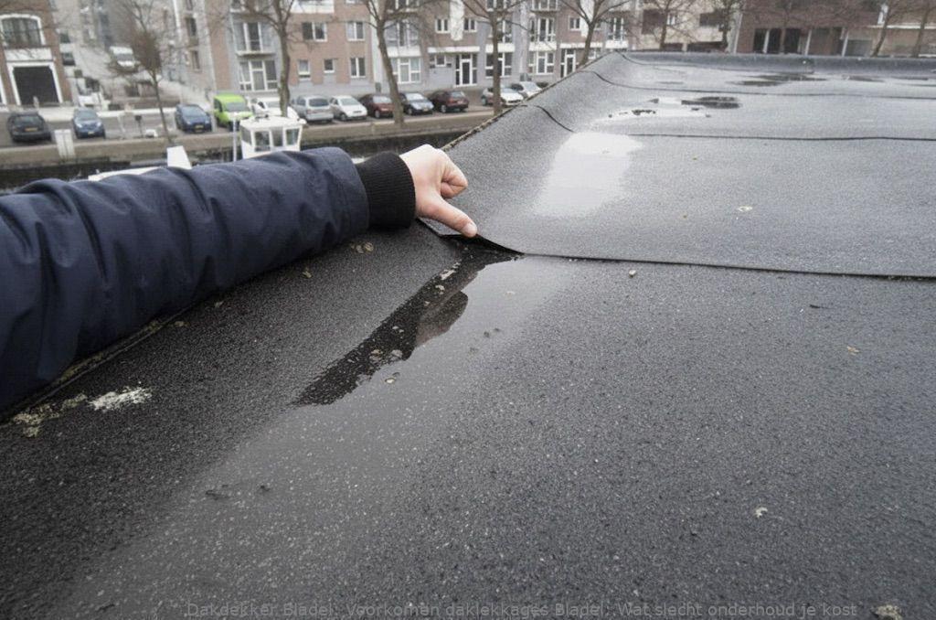 Voorkomen Daklekkages Bladel